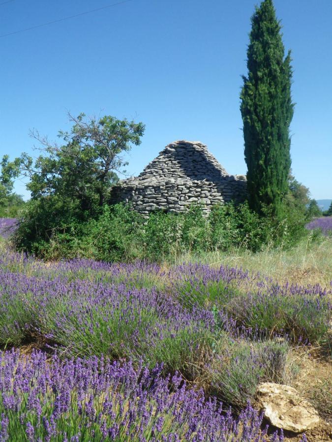 La Mordoree La Motte-d'Aigues Экстерьер фото